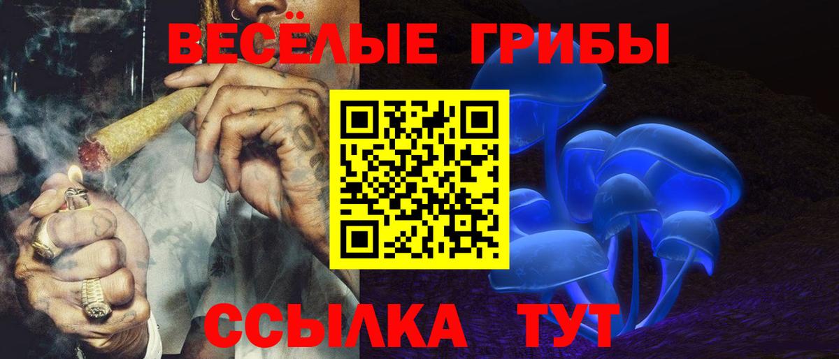 Дивногорск  Галлюциногенные грибы Magic Shrooms  магазин продажи   Вход с VPN  Псилоцибиновые грибы ЛСД 